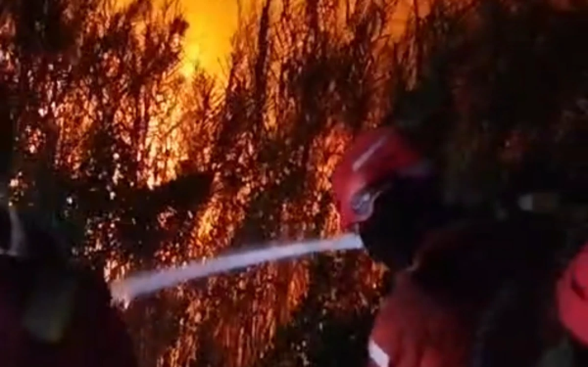 Thumbnail Berita - Hingga Malam Hari, Manggala Agni Terus Berjibaku Padamkan Kebakaran Hutan dan Lahan di Sumsel