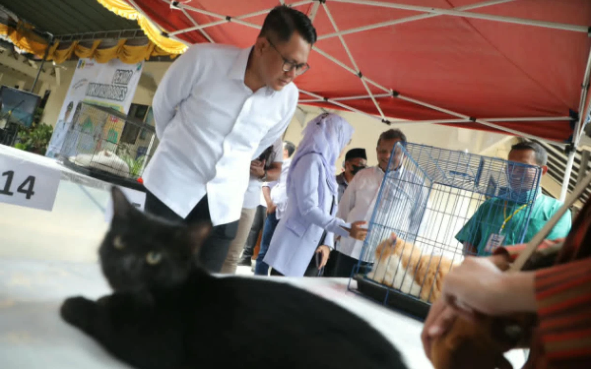 Foto Selain layanan medis, Wakil Bupati Sleman, Danang Maharsa, juga menyempatkan diri melihat kemeriahan kontes kucing yang menjadi bagian dari rangkaian peringatan Hari Rabies Internasional. (Foto: Pemkab Sleman)