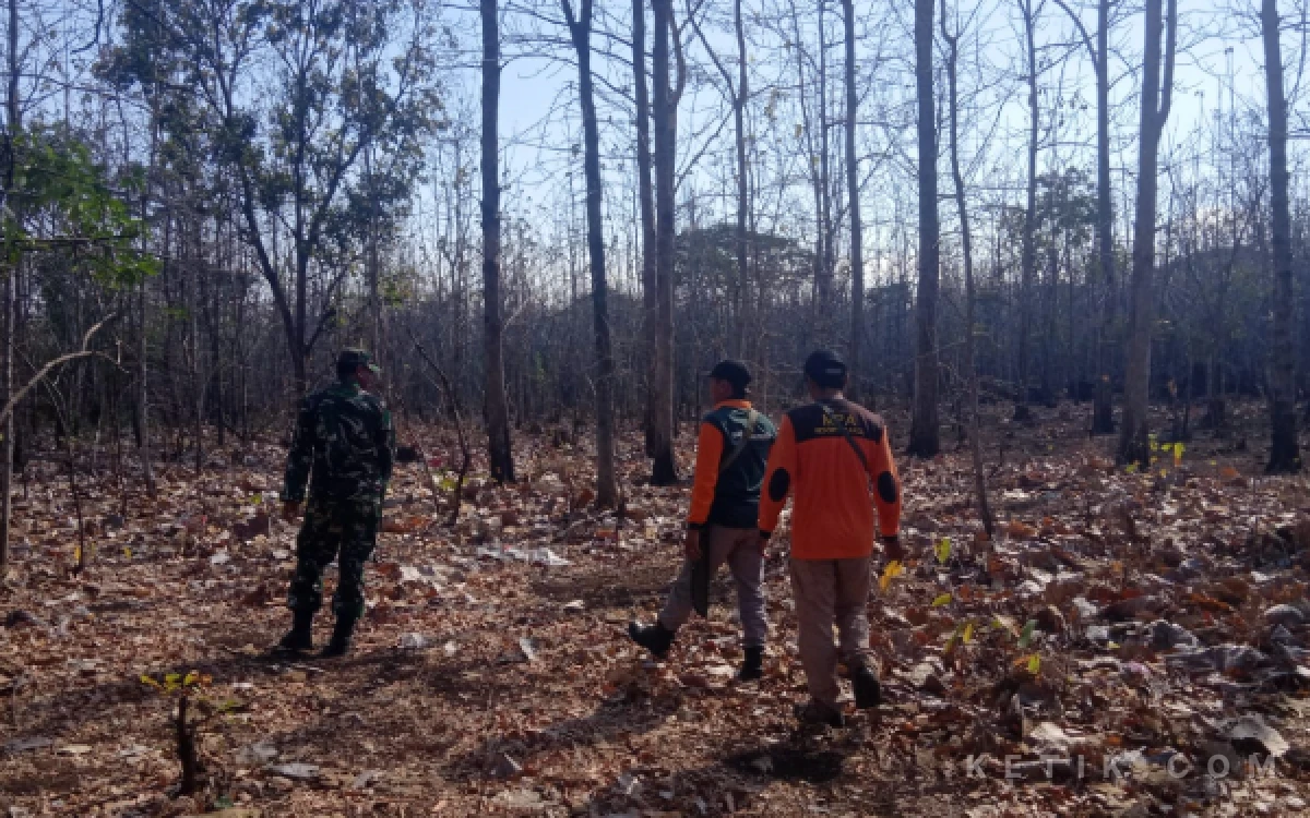 Thumbnail Berita - Cegah Kebakaran Hutan, TNI Bersama Tim Gabungan Rajin Patroli dan Perkuat Pengawasan di Hutan Baluran Situbondo