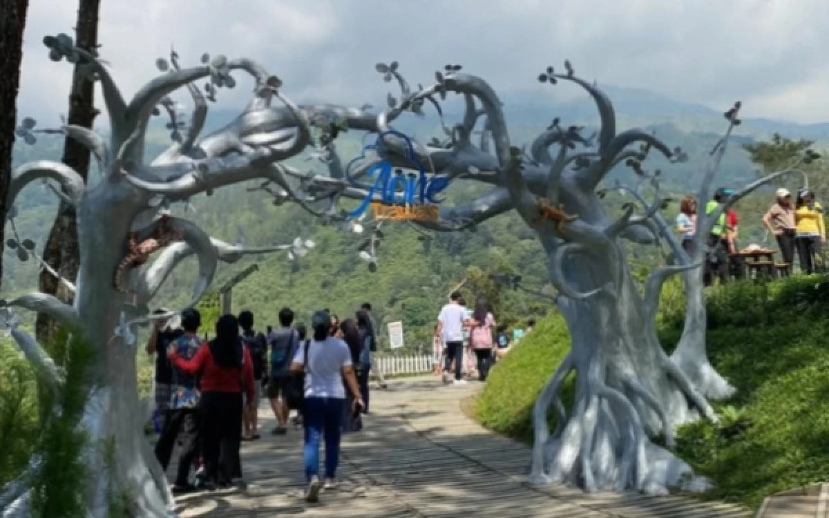 Thumbnail Berita - AONE Trawas, Sensasi "Pantai di Atas Awan" di Tengah Sejuknya Pegunungan