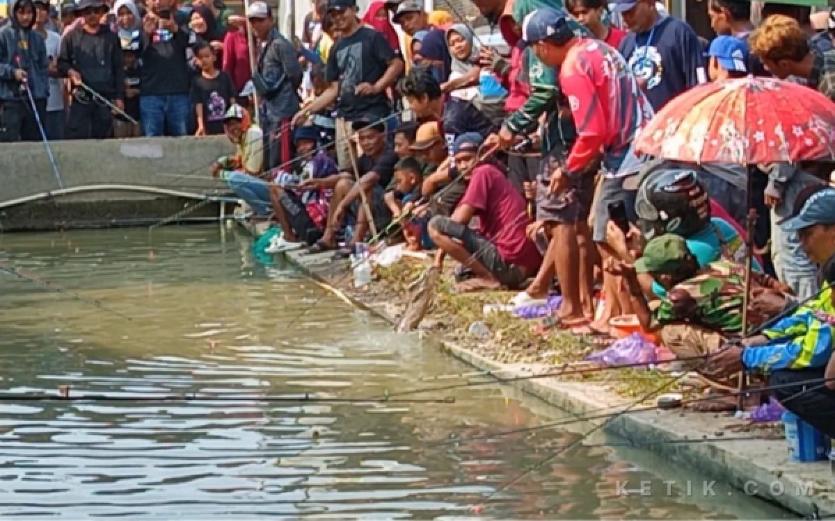 Thumbnail Berita - Gebyar Mancing Lele Sukorejo Pemalang Sedot 800 Peserta, Pemancing Pekalongan Raih Juara Pertama
