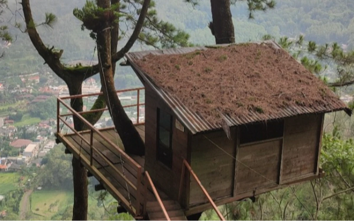 Thumbnail Berita - Sensasi Menginap di Rumah Pohon, Omah Kayu Batu Suguhkan Panorama Pegunungan
