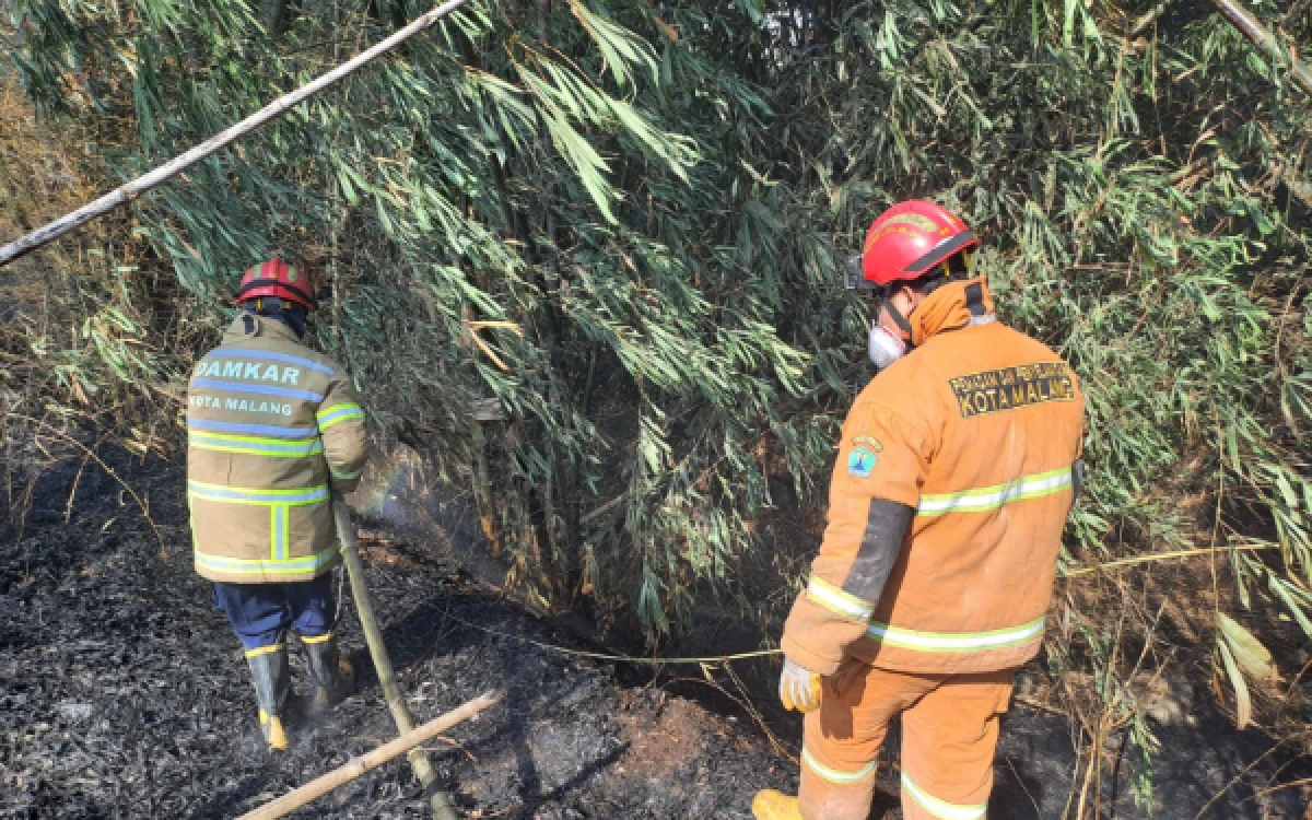 Foto Petugas Damkar Kota Malang saat memadamkan kebakaran lahan bambu yang terjadi di Jalan Halim Perdanakusuma Kelurahan Cemorokandang Kecamatan Kedungkandang Kota Malang pada Sabtu, 26 September 2026 (Foto : Damkar Kota Malang)