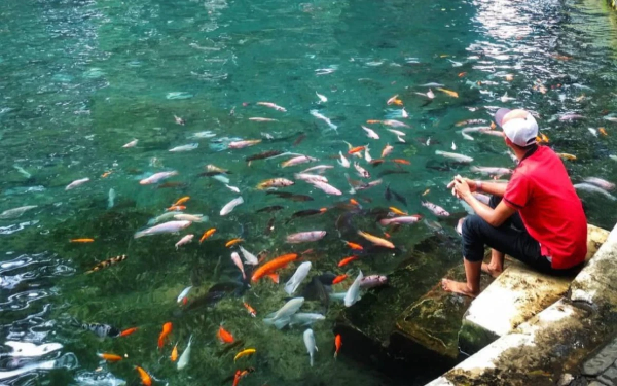Thumbnail Berita - Weekend di Malang? Coba 3 Wisata Sumber Air Alami Ini, Tiket Mulai Rp5.000