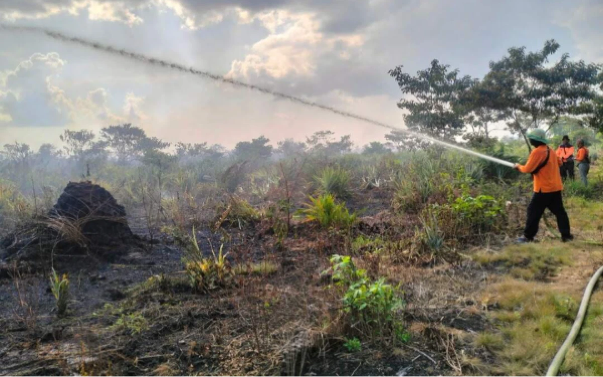 Thumbnail Berita - BMKG: Kalimantan Barat Catat Hotspot Terbanyak, Sejumlah Wilayah Masih Berpotensi Kering