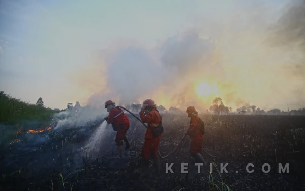 Thumbnail Berita - Kebakaran Lahan, Kabupaten Ogan Ilir Kembali Membara