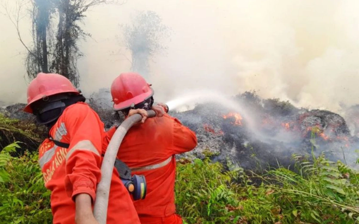 Thumbnail Berita - Karhutla Capai 8,35 Juta Hektare, Indonesia Seharusnya Fokus Pencegahan Sedari Awal