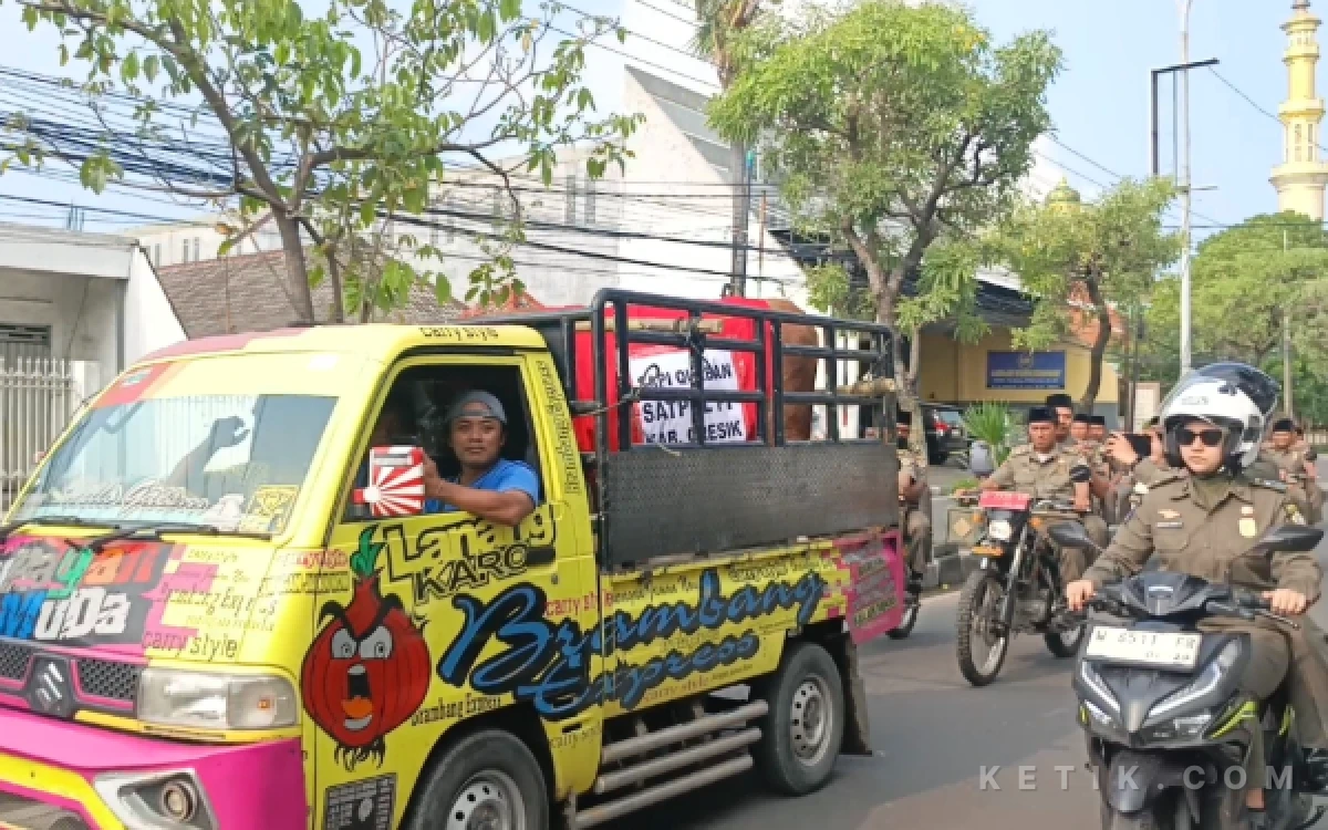 Thumbnail Berita - Cara Unik Satpol PP Gresik Berkurban, Sapi Setengah Ton Hasil Patungan 265 Anggota Diarak Bersama Menuju Kantor MUI