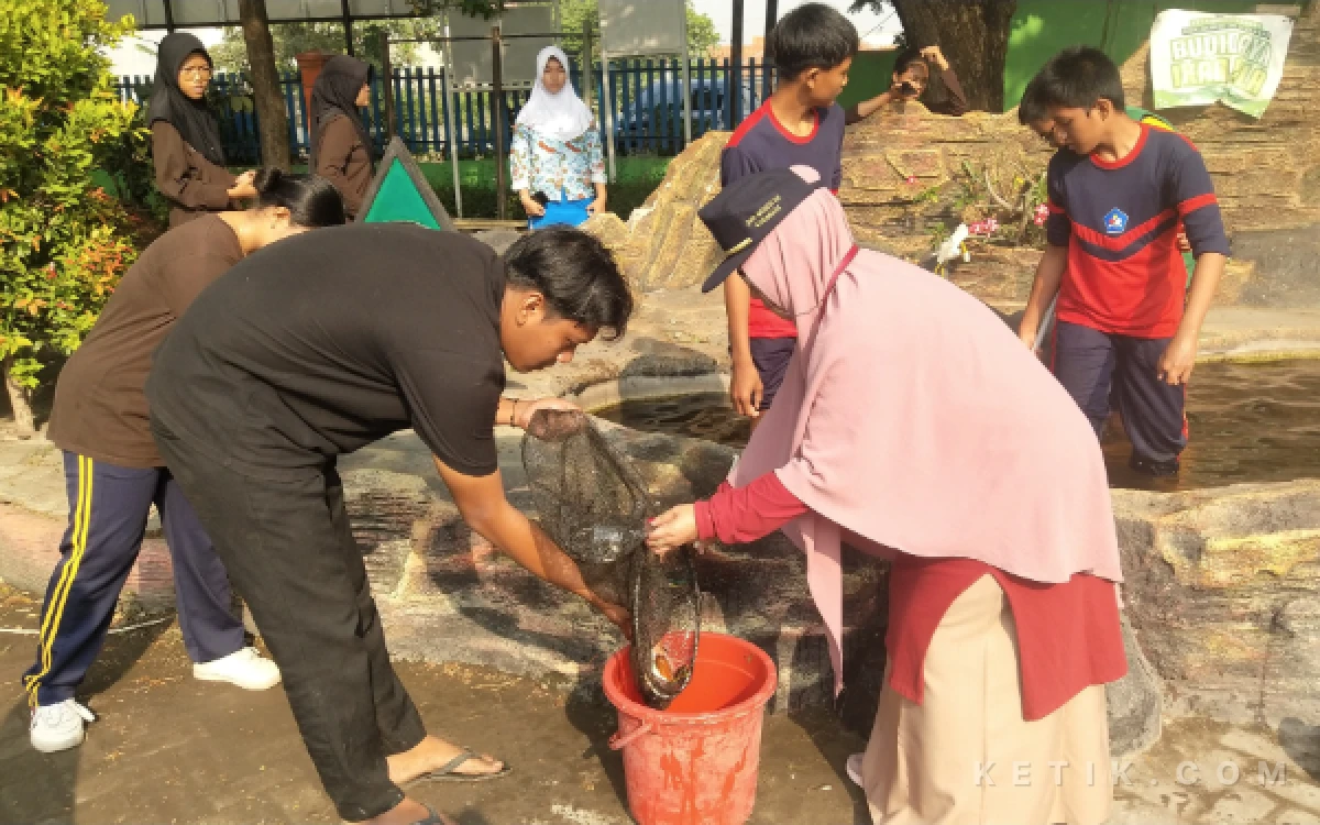 Foto Wiwik Yulianti Kepala SMPN 34 Surabaya saat panen ikan Nila bersama siswa dan para guru di kolam yang ada di halaman sekolah. (Foto : Sutejo Rc/ketik.com)