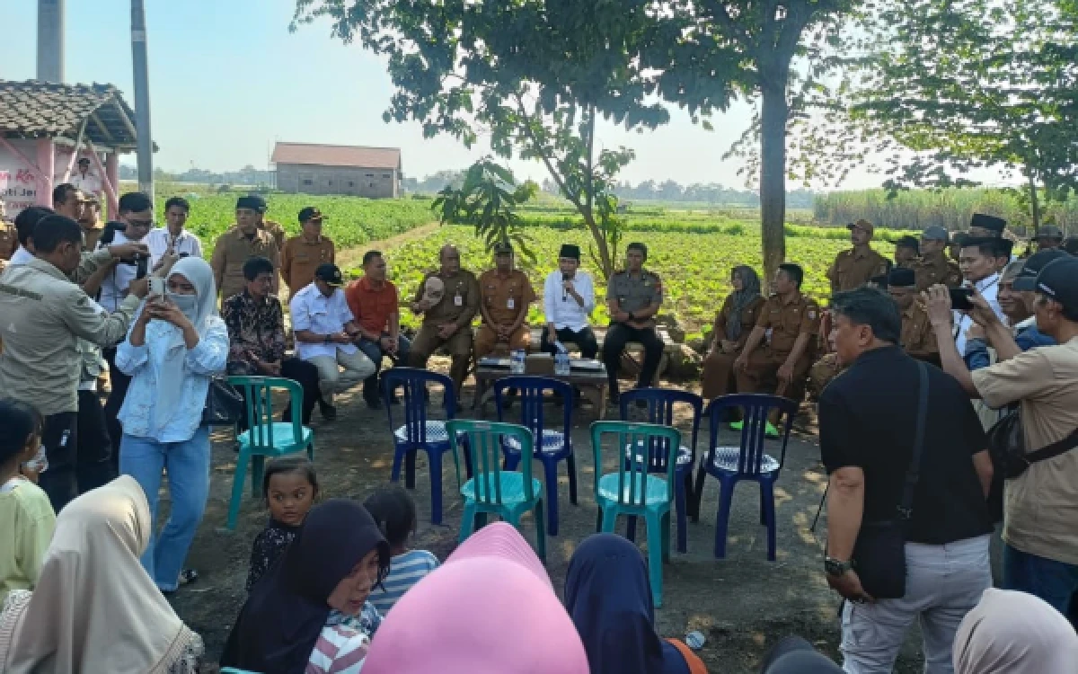 Thumbnail Berita - Bupati Jember Tinjau Rehabilitasi Irigasi Wonojati, Saluran 260 Meter Ditargetkan Aliri 20 Hektare Sawah