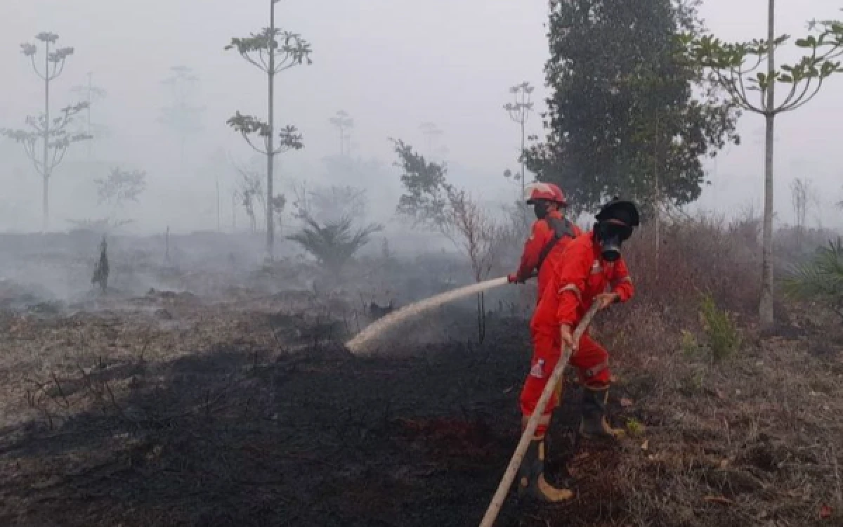 Thumbnail Berita - Karhutla Belum Usai, Pakar UB Desak Pemerintah Transparan dan Buka Mata atas Keluhan Rakyat