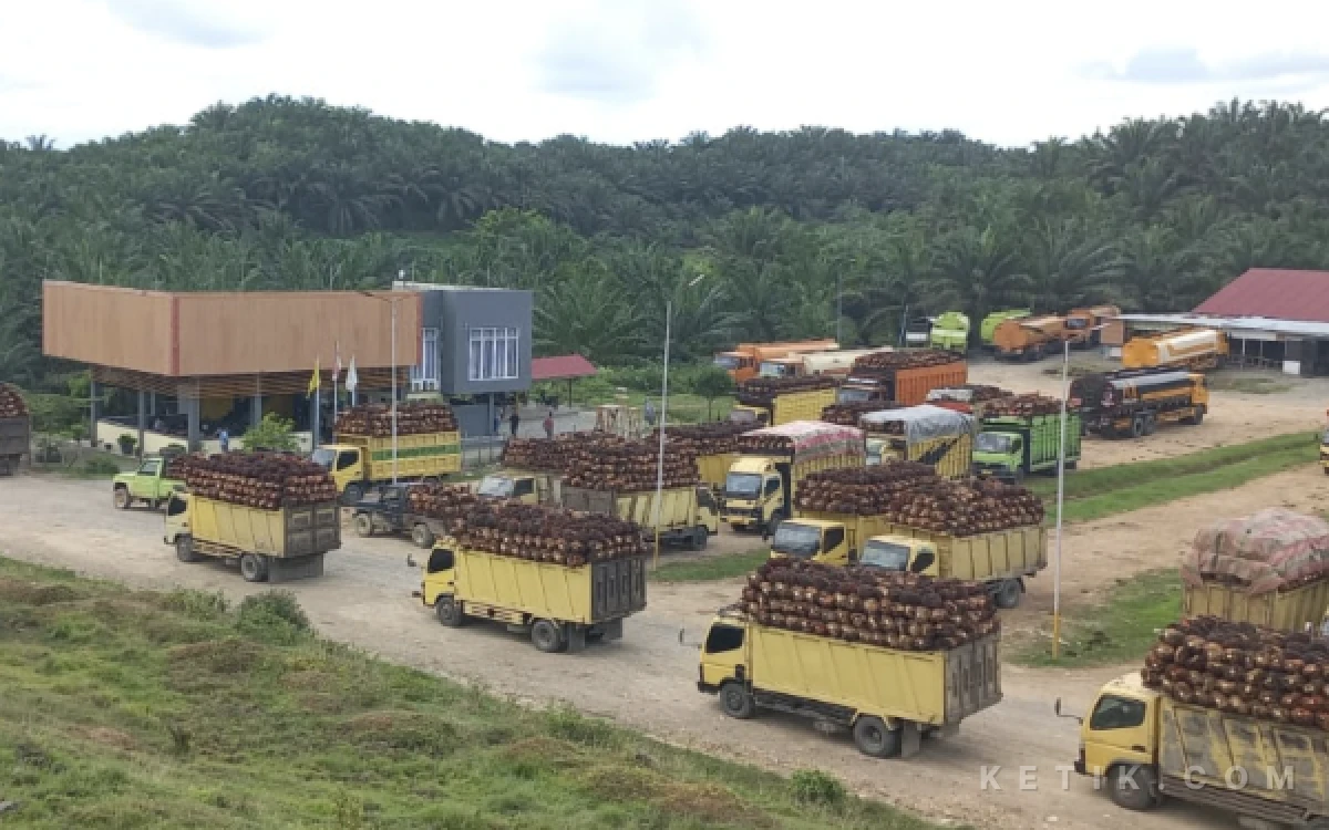 Foto Fasilitas anjungan PT Karya Tanah Subur di Aceh Barat. (Foto: Astra Agro)