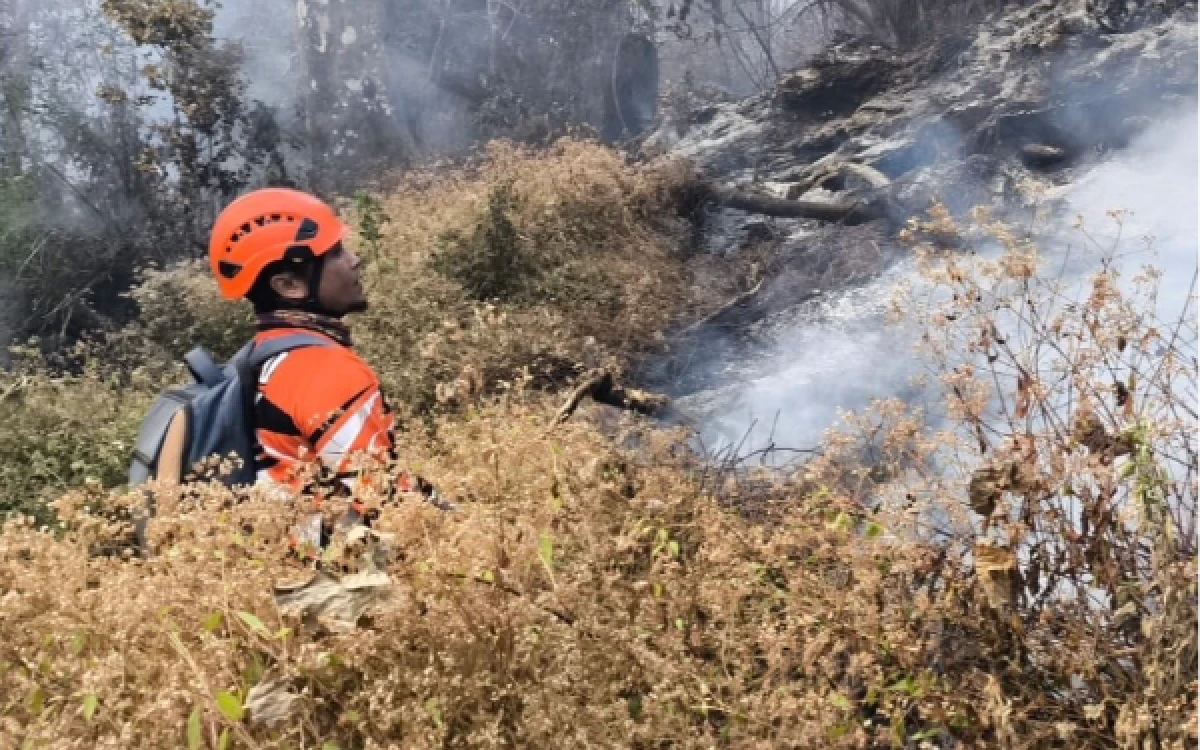 Thumbnail Berita - Kebakaran Hutan Gunung Butak Kota Batu, Medan Terjal dan Angin Kencang Persulit Pemadaman