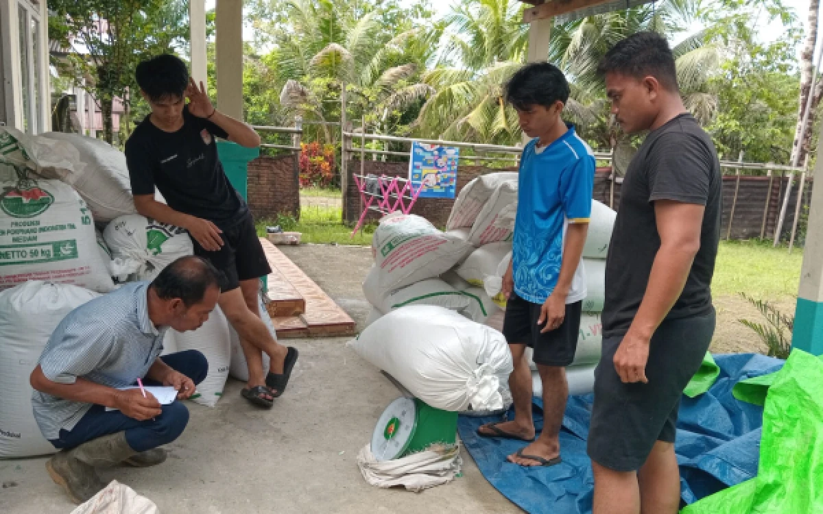 Foto Ketua KDMP Desa Linggi, Riswansyah saat melakukan pencatatan timbangan Gabah Petani bersama pengurus lainnya. Minggu, 06 September 2026. (Helman/Ketik.com)