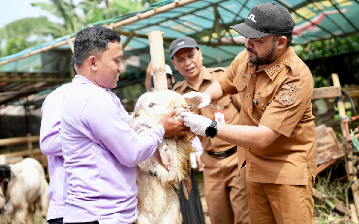 Thumbnail Berita - Sidak Peternakan Jelang Iduladha, Pemkot Batu Pastikan Hewan Kurban Sehat dan Layak Disembelih