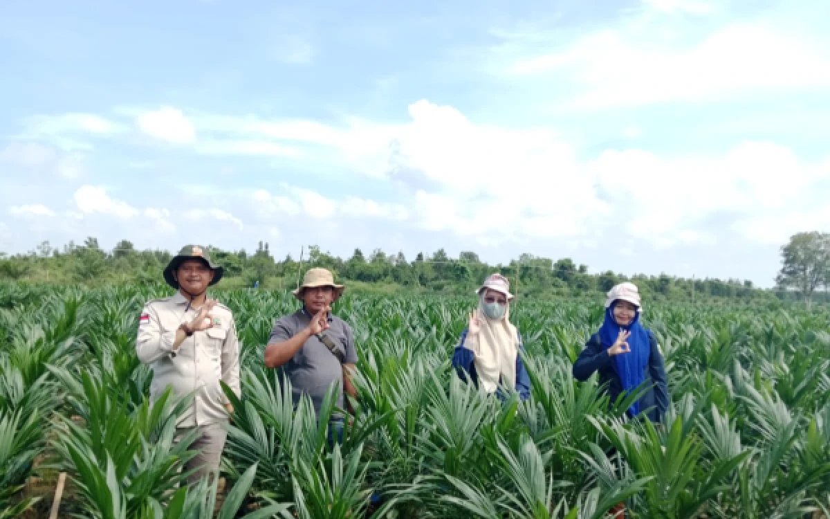 Thumbnail Berita - Penangkar Bibit Kelapa Sawit Unggul Leny Marleni PT CNS Laris Manis Jadi Varietas Primadona