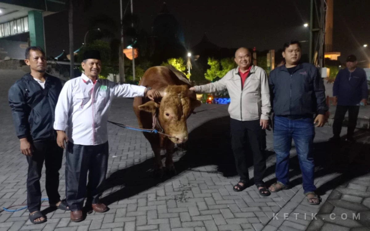 Thumbnail Berita - PWNU Jatim Terima Sapi Kurban 1,1 Ton dari Gubernur Khofifah