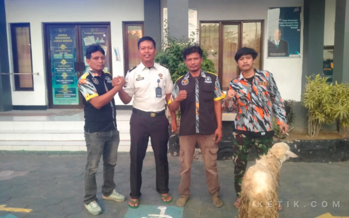 Thumbnail Berita - LSM GMBI Brebes Salurkan Hewan Kurban di Tiga Lokasi pada Iduladha 1447 H