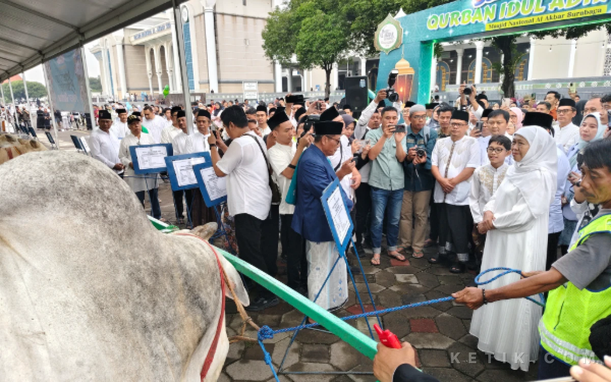 Thumbnail Berita - Khofifah Pastikan Stok Hewan Kurban 1447 H di Jatim Aman, Sehat, dan Mencukupi