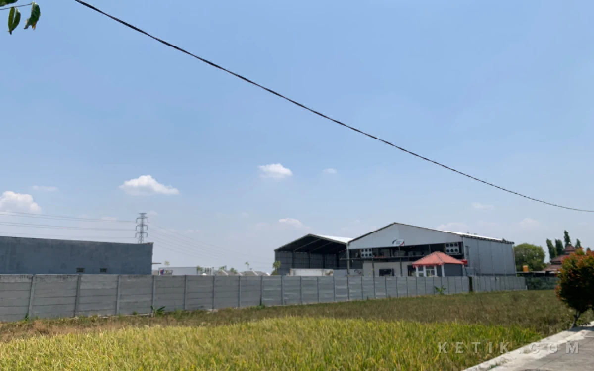 Thumbnail Berita - Timbulkan Bau Busuk, Pakar Hukum Pertanyakan Izin Pengolahan Ayam PT JPN Mepet Sekolah