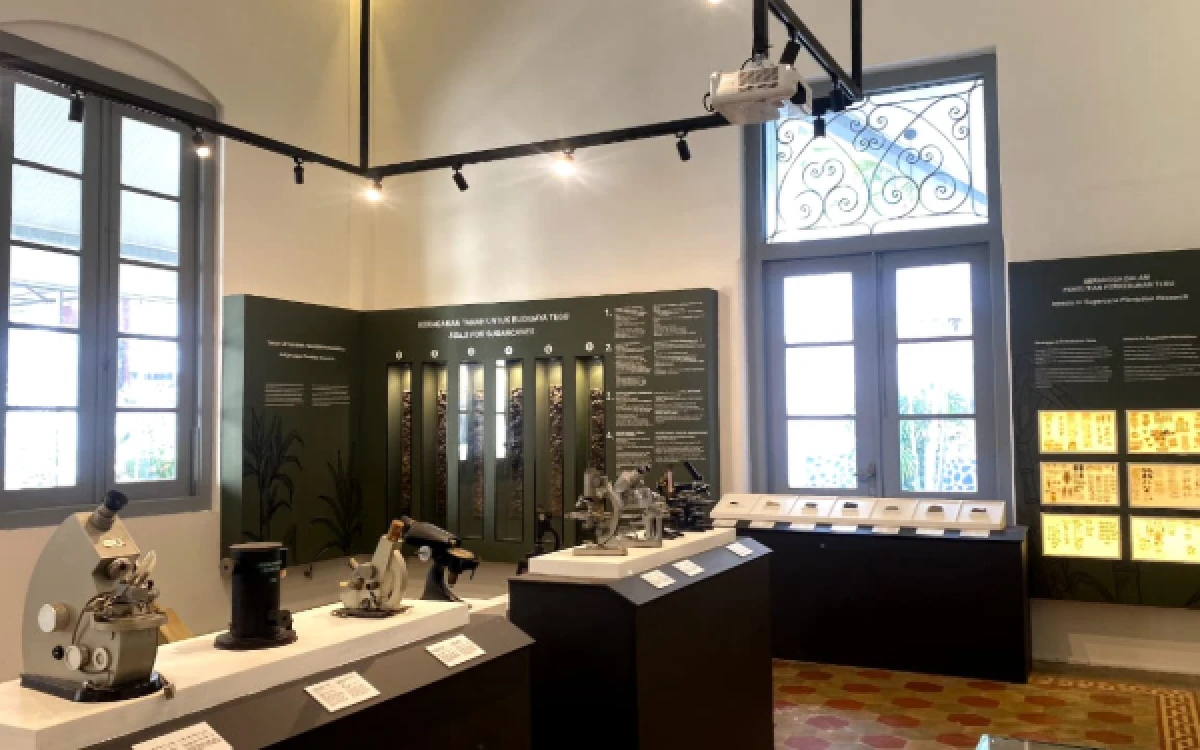 Foto Area Museum Gula Indonesia yang menampilkan berbagai koleksi dan informasi yang menjadi sarana edukasi bagi pengunjung untuk mengenal sejarah dan perkembangan pergulaan Internasional  (Foto : Mahasiswa PSDKU UB Kediri)