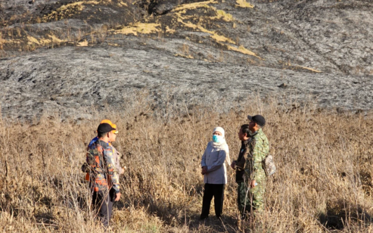 Thumbnail Berita - Karhutla Bromo Meluas Jadi 176 Hektare, Dua Helikopter Water Bombing Dikerahkan