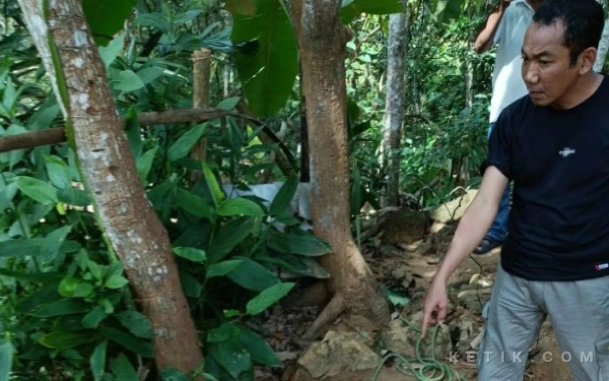 Thumbnail Berita - Geger! Pria di Desa Komis Sampang Ditemukan Tak Bernyawa di Pohon Mangga