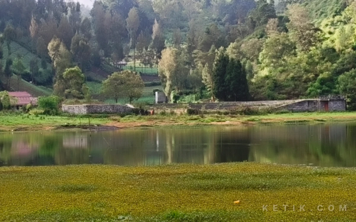 Thumbnail Berita - Ranu Pani Terancam Hilang, Sedimentasi dan Kiambang Picu Penyusutan Danau di Kaki Semeru