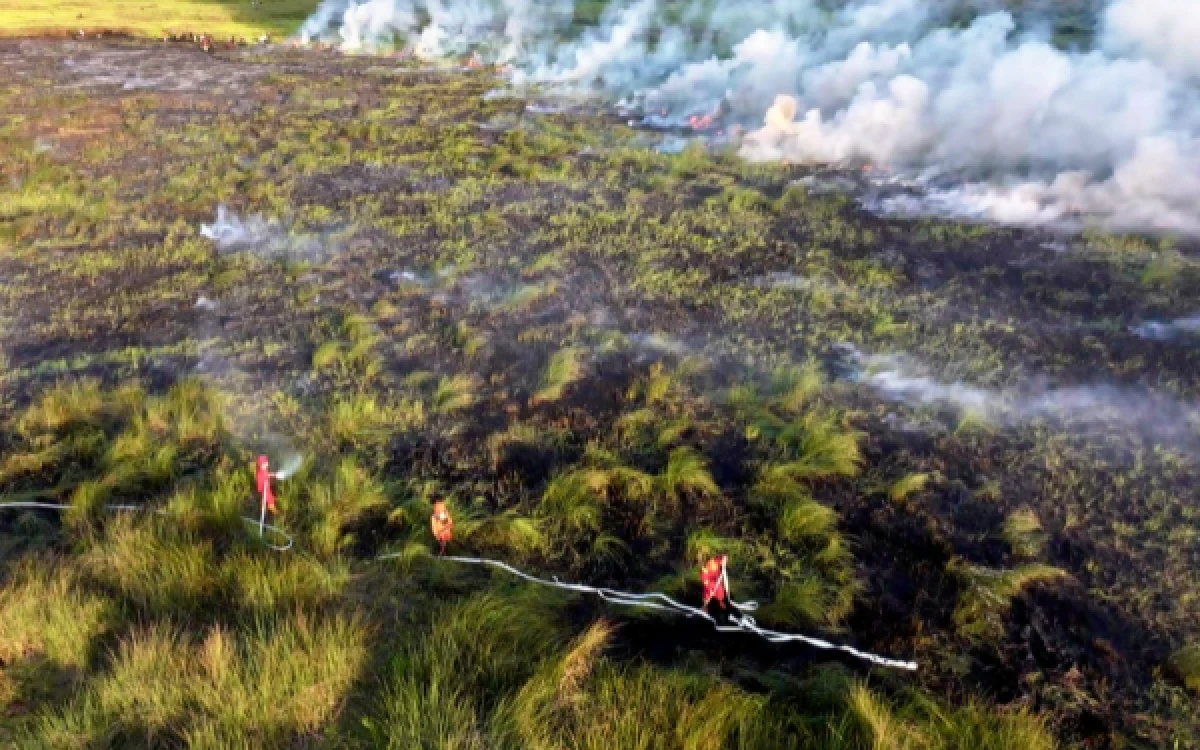 Thumbnail Berita - Kabut Asap Makin Pekat, 57 Persen Hotspot di 18 Konsesi Sumsel Terkonsentrasi di Bumi Mekar Hijau