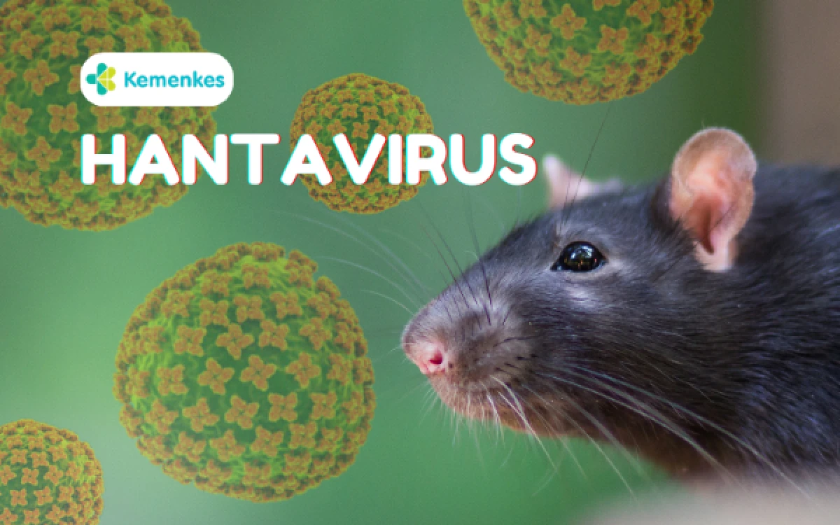 Thumbnail Berita - Kemenkes Sebut Hantavirus Sudah Lama Ada di Indonesia, Ini Potensi Ancamannya