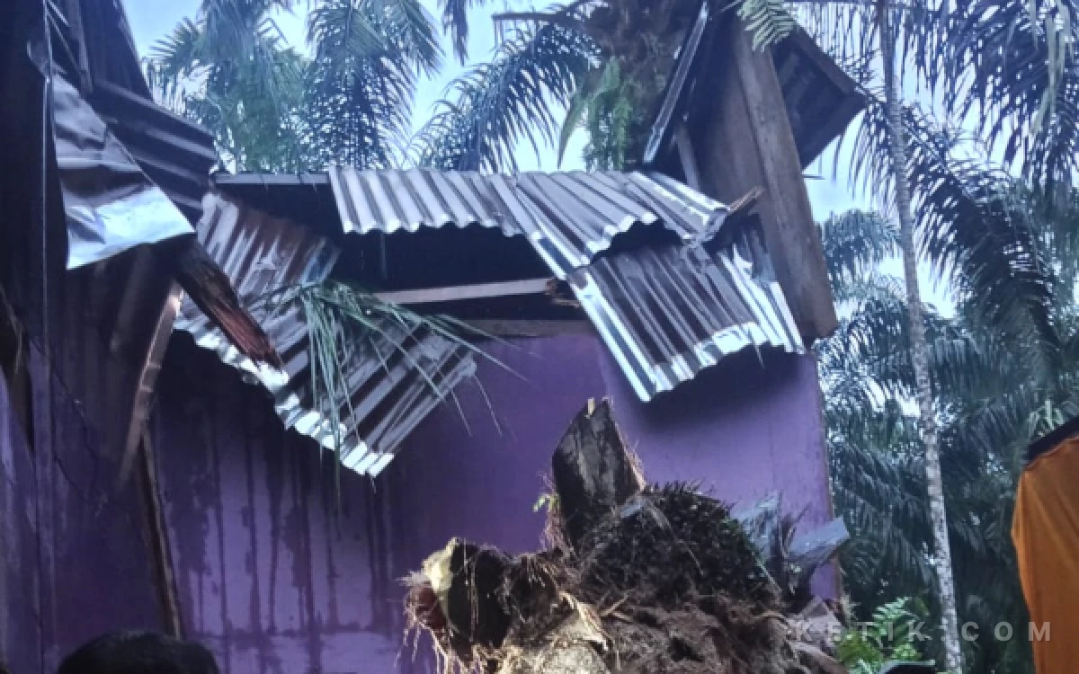 Thumbnail Berita - Angin Kencang, Satu Rumah Warga Tertimpa Pohon di Simpang Kanan Aceh Singkil