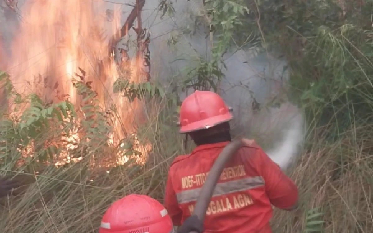 Thumbnail Berita - Karhutla Nyaris Bakar Permukiman Dekat Bandara SMB II Palembang, Manggala Agni Bergerak Cepat