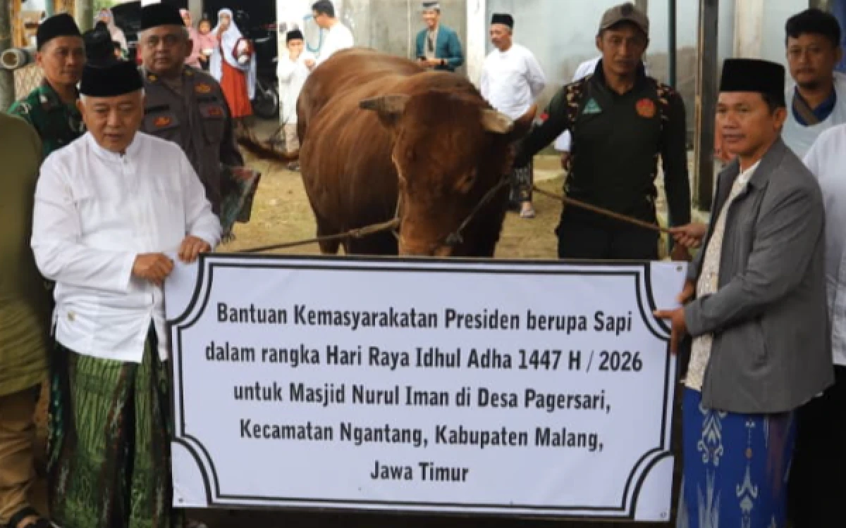Thumbnail Berita - Sapi Presiden Dibeli Pakai APBN, Purbaya: Saya Tidak Tahu