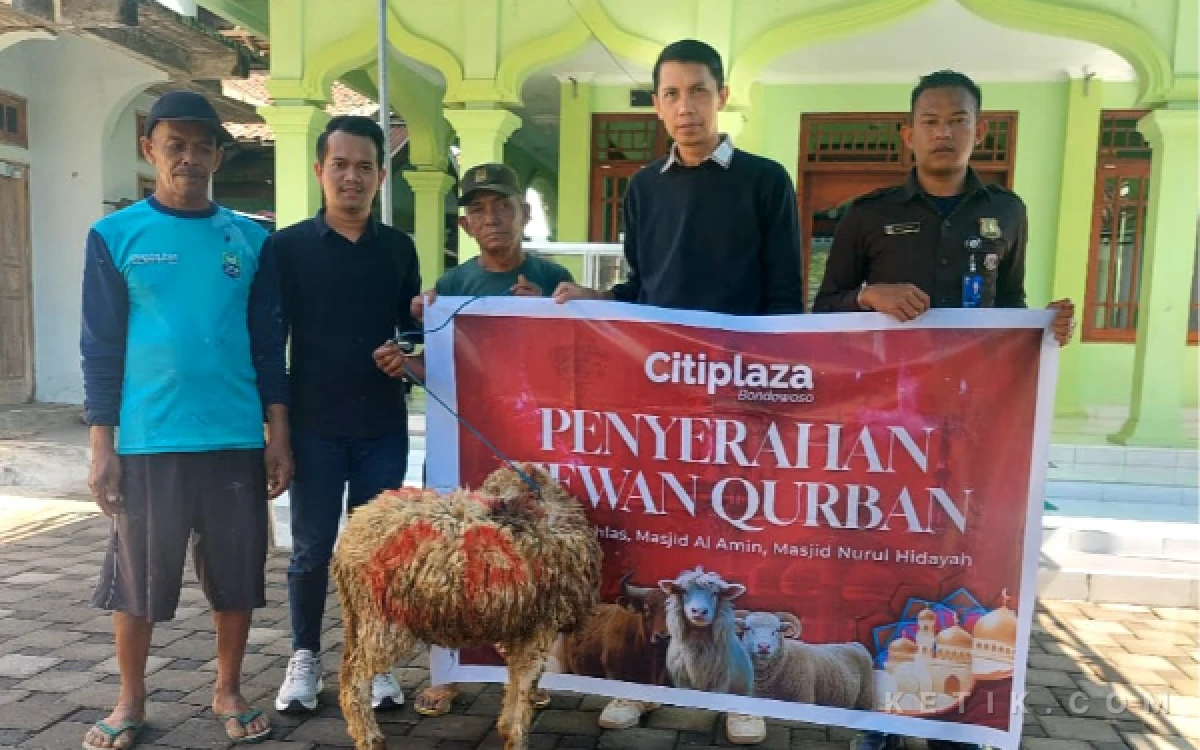 Thumbnail Berita - Momen Idul Adha 1447 H, Citiplaza Bondowoso Tebar Hewan Kurban di Kelurahan Nangkaan