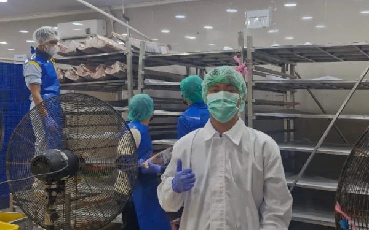 Thumbnail Berita - Mahasiswa PSDKU UB Kediri Peroleh Pengalaman Industri Nyata lewat Magang MBKM di PT Sumberlaut Begindo