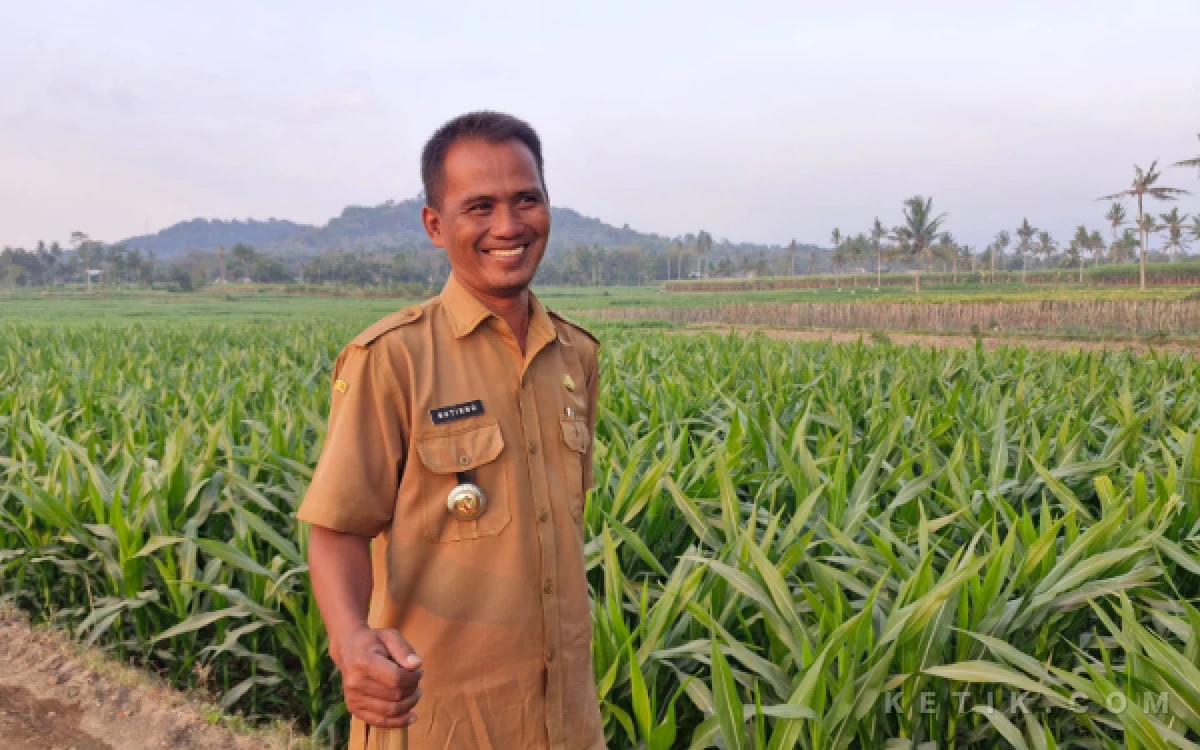 Thumbnail Berita - Sutikno Ungkap Regenerasi Petani Mulai Terjadi, Anak Muda Terjun Kelola Lahan Jagung