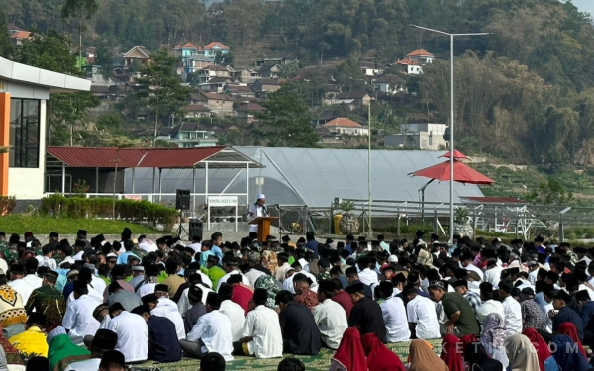 Thumbnail Berita - Doa Meminta Hujan yang Diajarkan Rasulullah SAW saat Madinah Dilanda Kekeringan