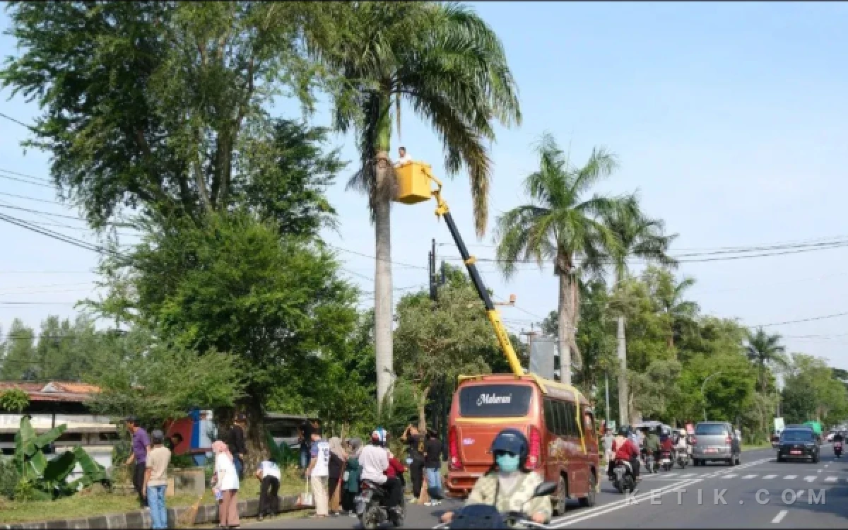 Thumbnail Berita - Korve Jumat Bersih Pemkab Pemalang Sasar Jalan Perintis Kemerdekaan
