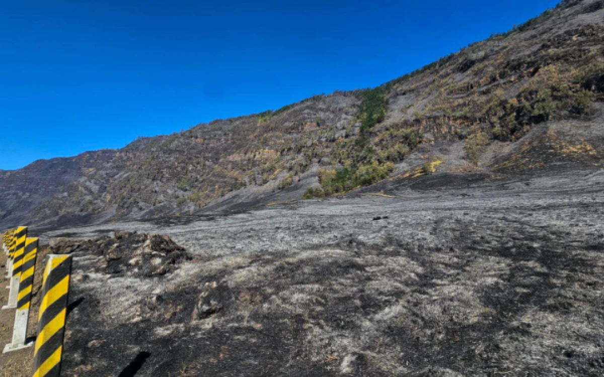 Thumbnail Berita - Padam Total Usai 13 Hari Terbakar, Wisata Gunung Bromo Resmi Dibuka Besok