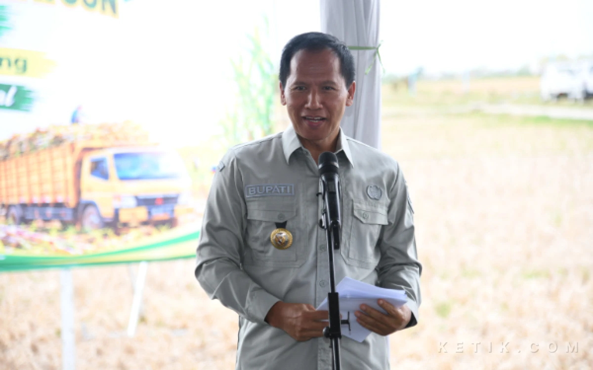 Thumbnail Berita - Dukung Swasembada Gula, Pemkab Tulungagung dan PG Modjopanggoong Gelar Panen Perdana Tebu Bongkar Ratoon