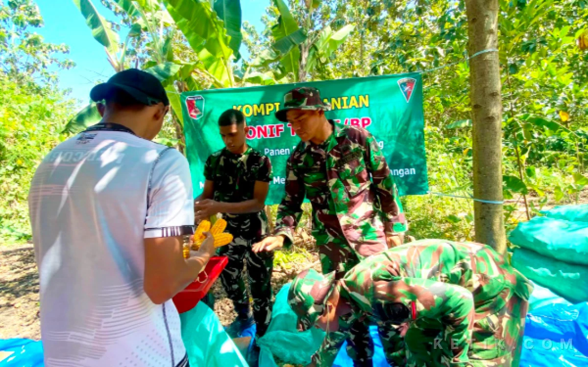 Thumbnail Berita - Anggota TNI dan Warga Bojonegoro Bersatu Panen Jagung, Perkuat Ketahanan Pangan Nasional