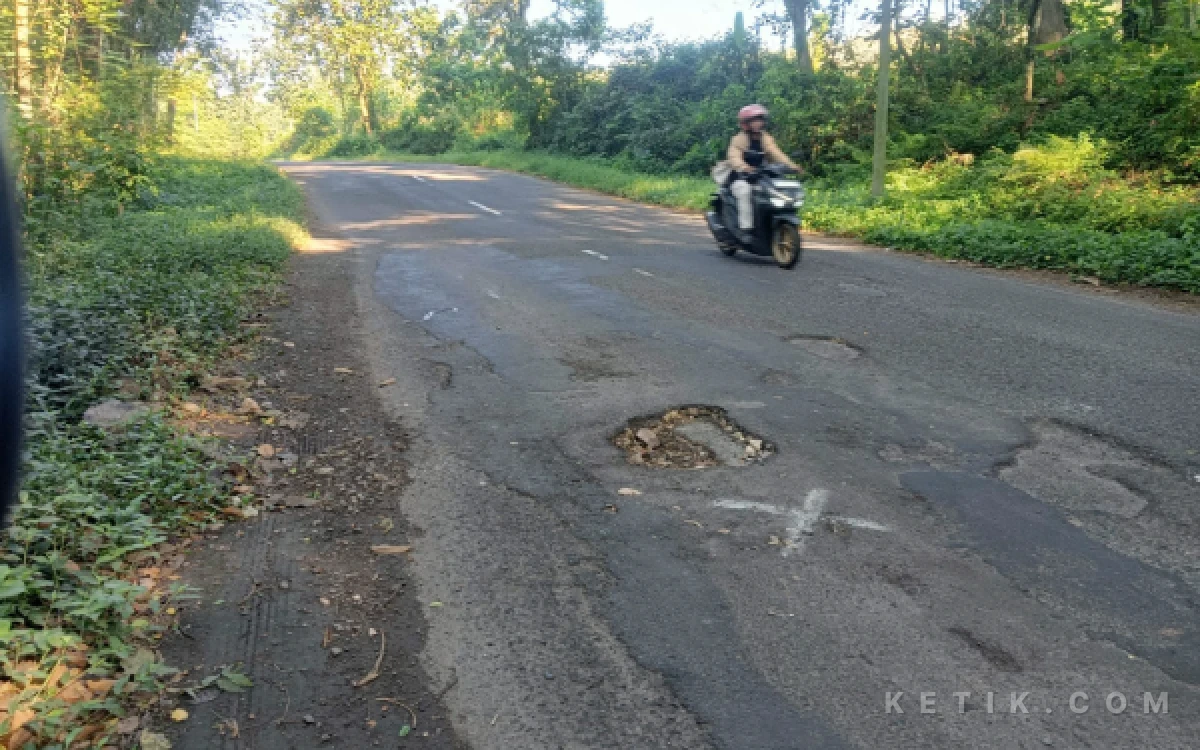 Foto Jalan Singgahan - Montong nampak kanan - kiri hutan dan kondisi median jalan retak berlubang, Jumat 23 Mei 2026 (Foto: Ahmad Istihar/Ketik.com)