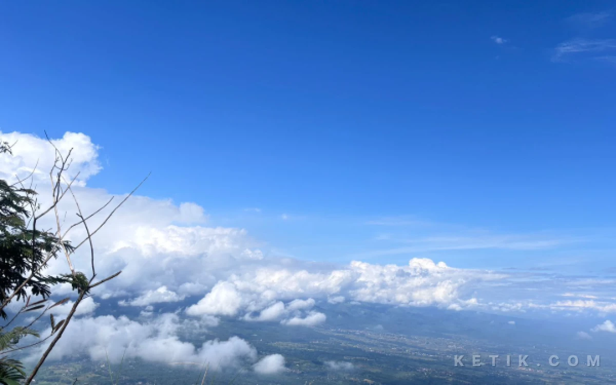 Thumbnail Berita - Kota Mojokerto dan Pasuruan Diprakirakan Berawan 4 Mei 2026, Cek Info Cuaca Jawa Timur