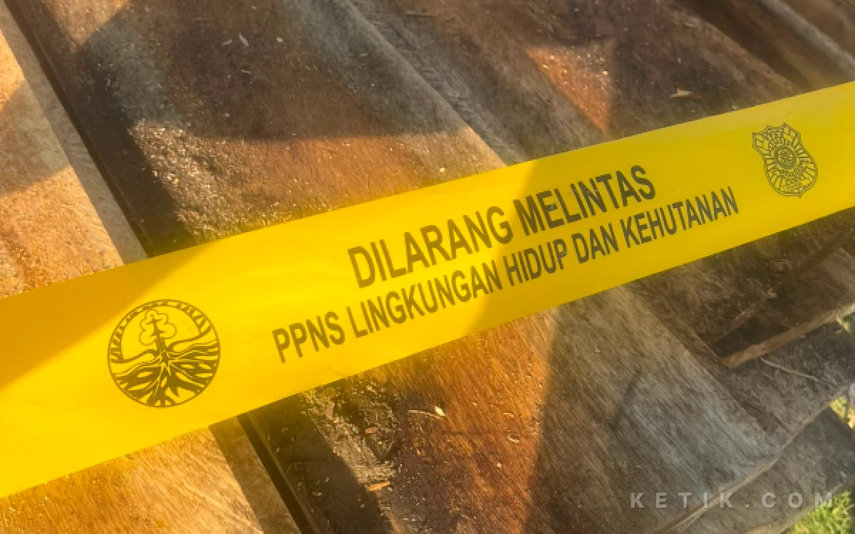 Thumbnail Berita - BARAH Apresiasi Polsek Gane Timur, Pengamanan Kayu Olahan Dinilai Tepat