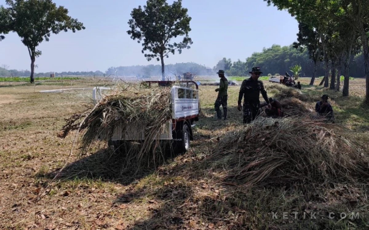 Thumbnail Berita - Jelang Pembukaan TMMD ke-129, TNI dan Warga Gotong Royong Siapkan Lokasi Upacara di Bojonegoro